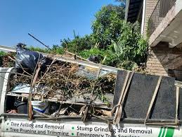 Best Dumpster Rental Services  in Salado, TX